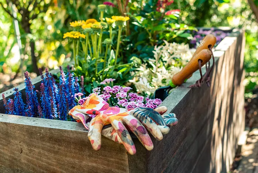 bigstock-freshly-planted-wooden-planter-311832238.jpg