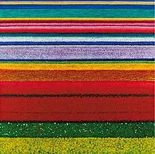 city_and_colour.jpg