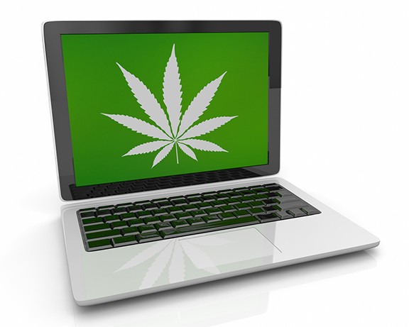 bigstock-marijuana-weed-pot-cannabis-ta-298379845.jpg