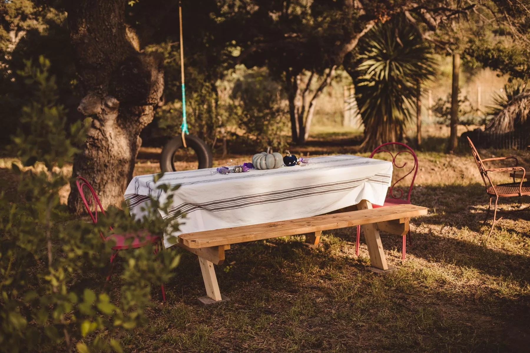 Farm And Garden Tucson - City Of Tucson Steps Toward Urban Farm