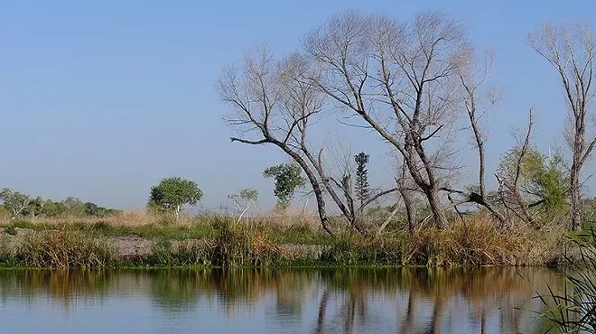 A 2013 photo of a pool in the Tres Rios wetlands, a reclaimed part of the Salt, Gila and Agua Fria rivers that is now teeming with wildlife. Tres Rios is one of the projects named in a bill creating a $150 million fund for local water projects in Arizona, with the first $900,000 being released for a Pascua Yaqui irrigation project.