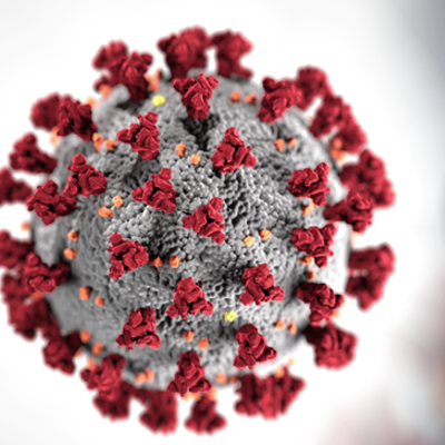 Coronavirus Update: Second Death from COVID-19; AZ Confirmed Cases Now at 152