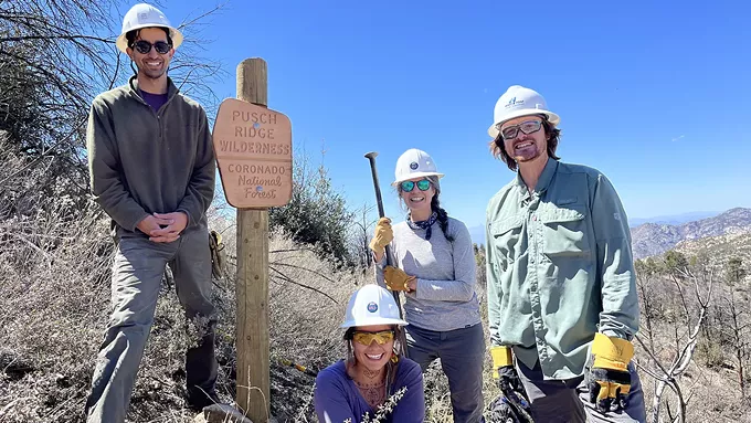 Wild Arizona completes sign installations - Vimarsana News